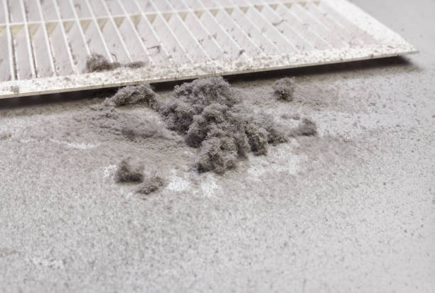 Best Commercial Air Duct Cleaning  in Lawrenceburg, TN