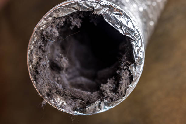 Best Affordable HVAC Duct Cleaning  in Lawrenceburg, TN
